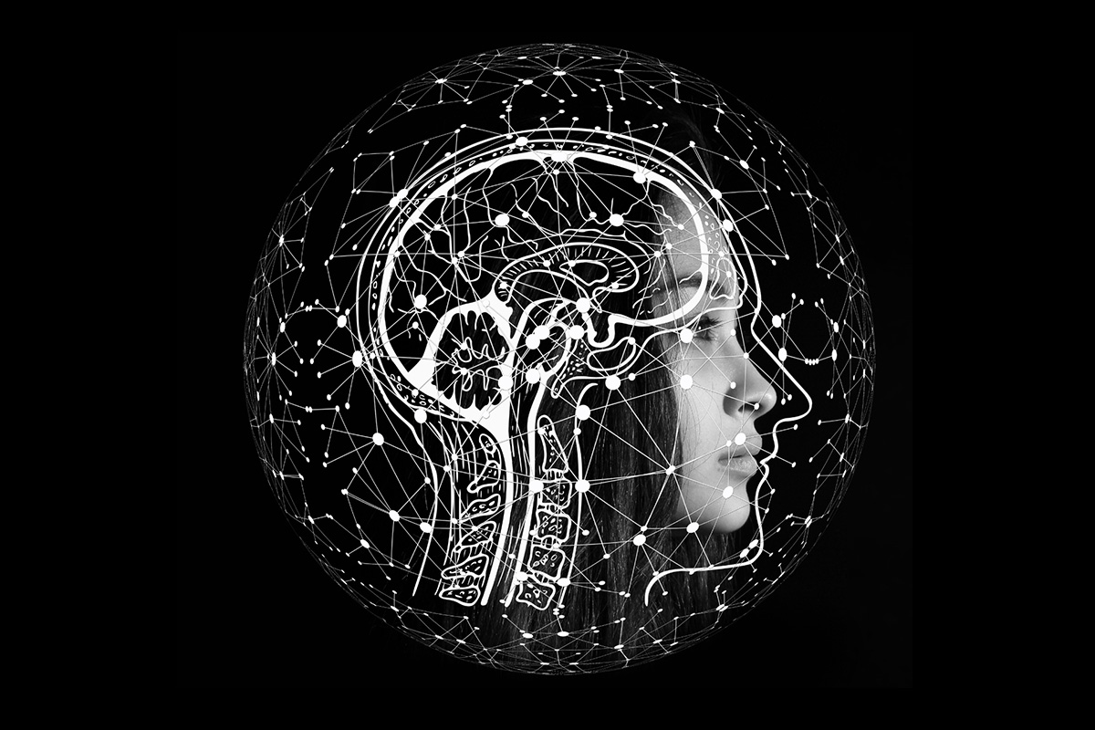 Sekrety-neurobiologii-dla-efektywnej-nauki