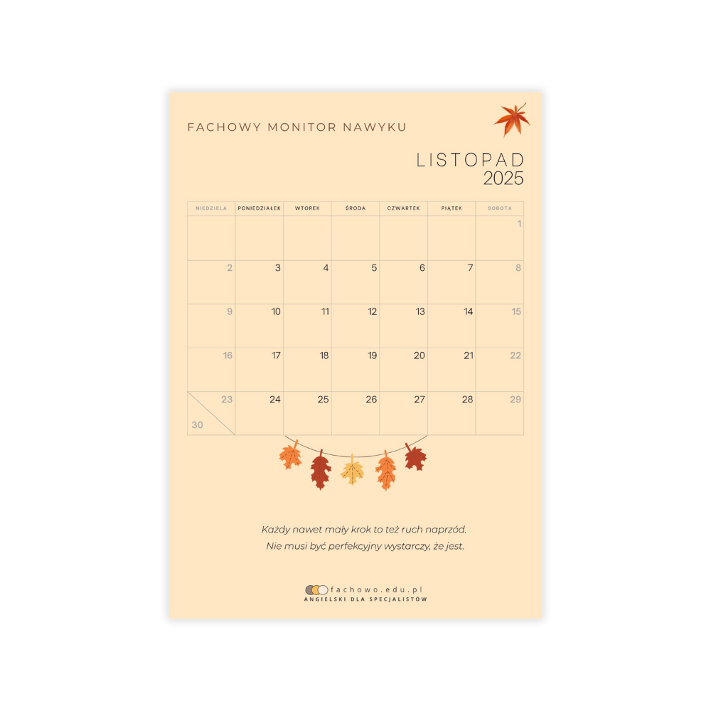 fachowy-monitor-nawyku-listopad